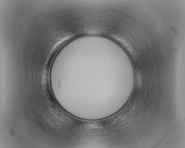X0000115690583200912101155