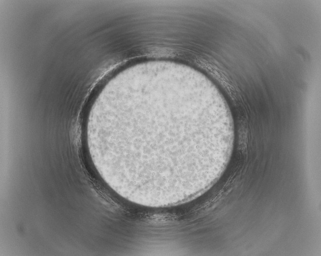 X0000115690584200912101155