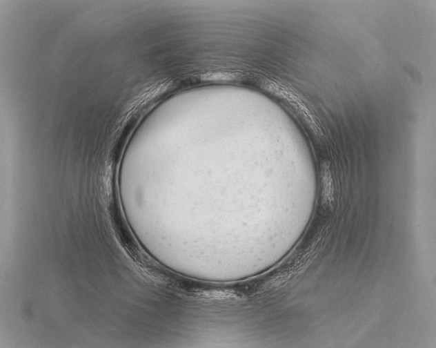 X0000115690586200912101155