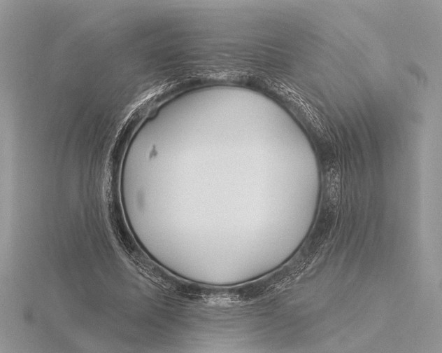 X0000115690587200912101155