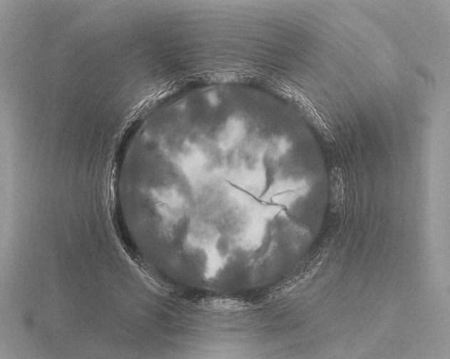 X0000115690590200912101155