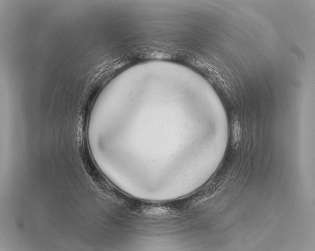 X0000115690594200912101155