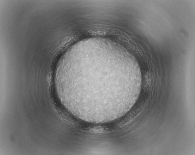 X0000115690600200912101155