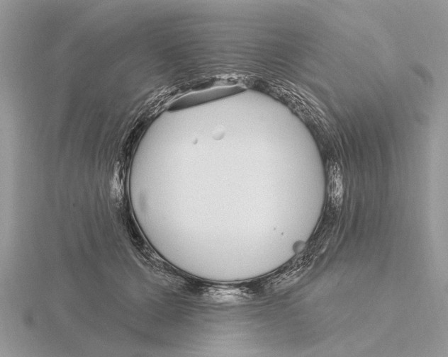 X0000115690607200912101155
