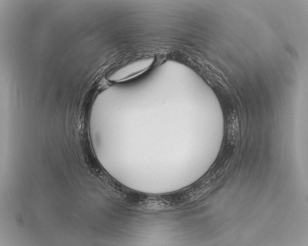 X0000115690608200912101155