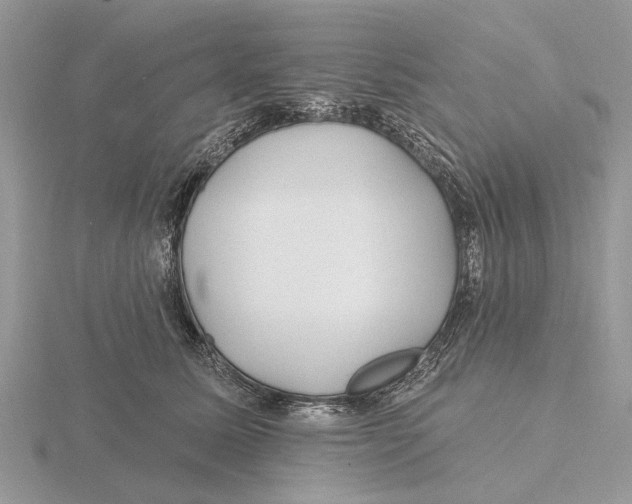 X0000115690611200912101155