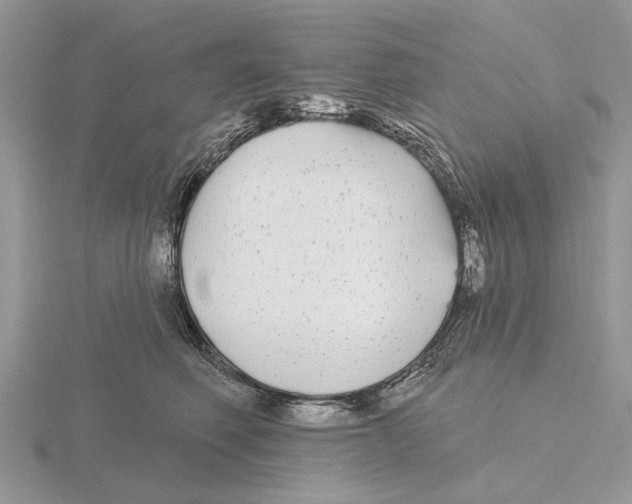 X0000115690614200912101155