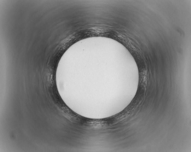 X0000115690615200912101155