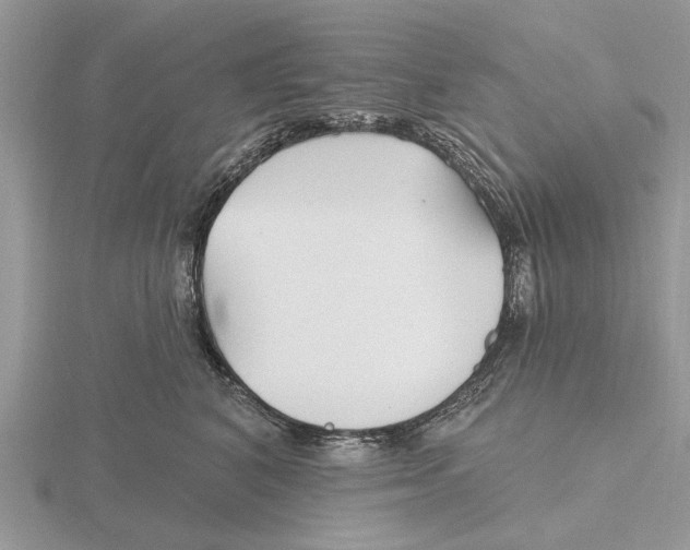 X0000115690616200912101155