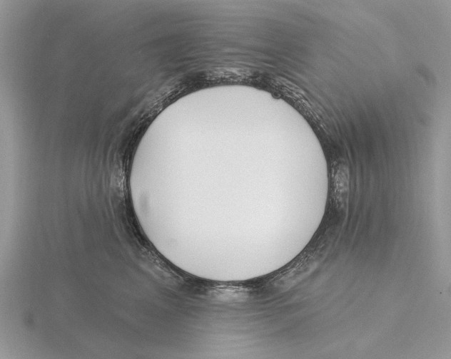 X0000115690617200912101155