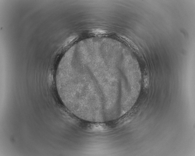 X0000115690618200912101155