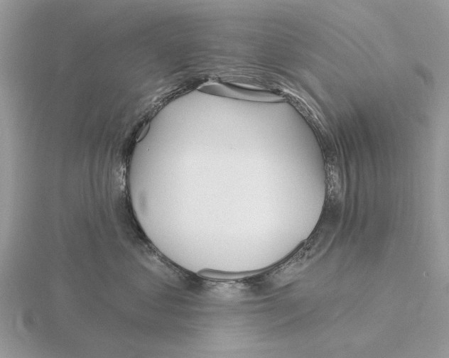X0000115690621200912101155