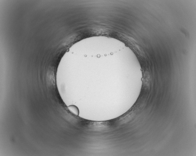 X0000115690622200912101155