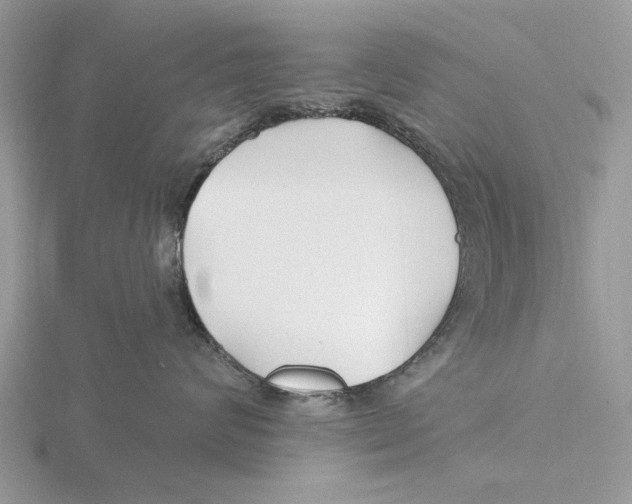 X0000115690624200912101155