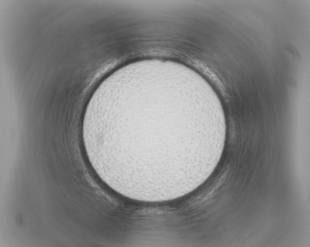 X0000115690625200912101154