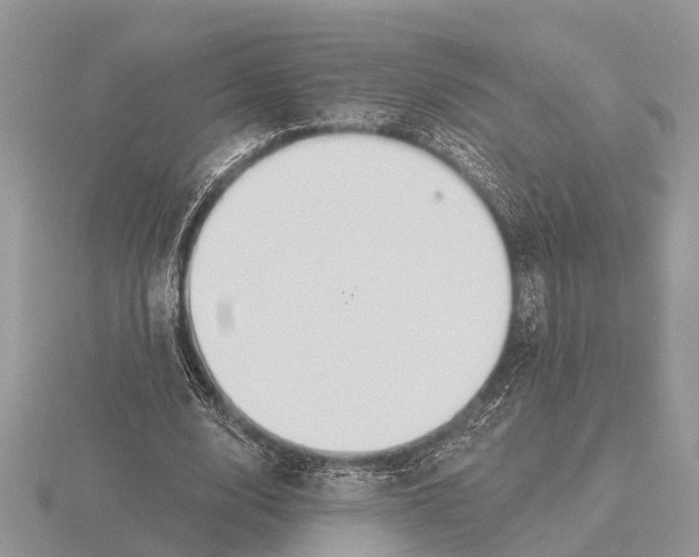 X0000115690632200912101154