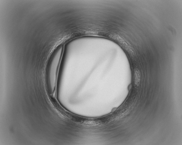 X0000115690634200912101154