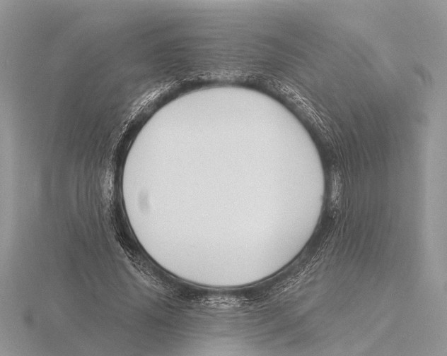 X0000115690636200912101154