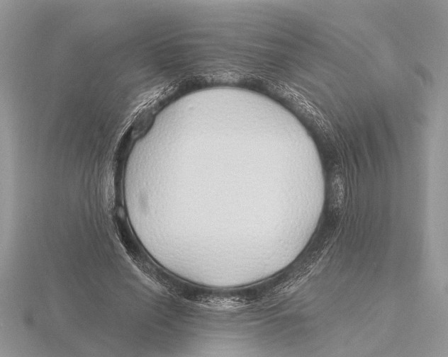 X0000115690638200912101154