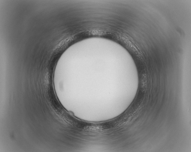 X0000115690639200912101154