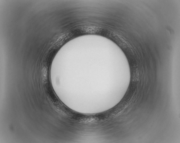 X0000115690646200912101154