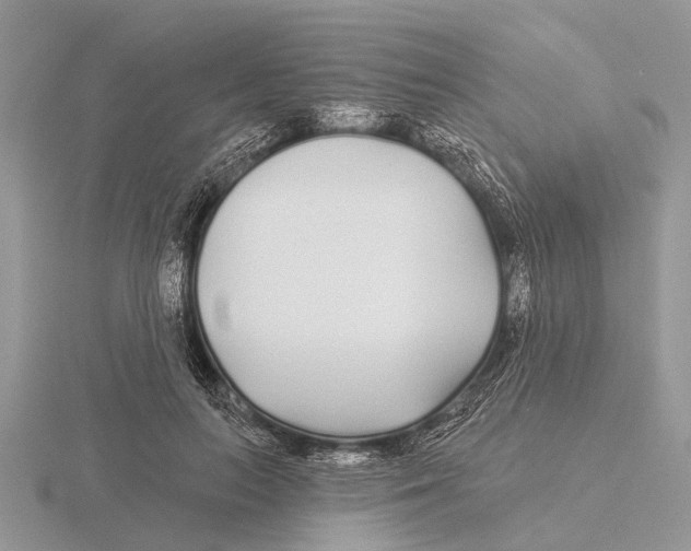 X0000115690647200912101154