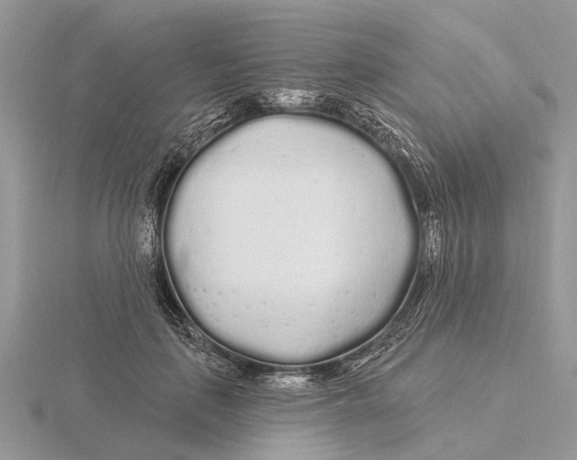 X0000115690651200912101154
