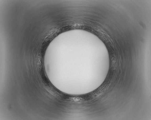 X0000115690654200912101154