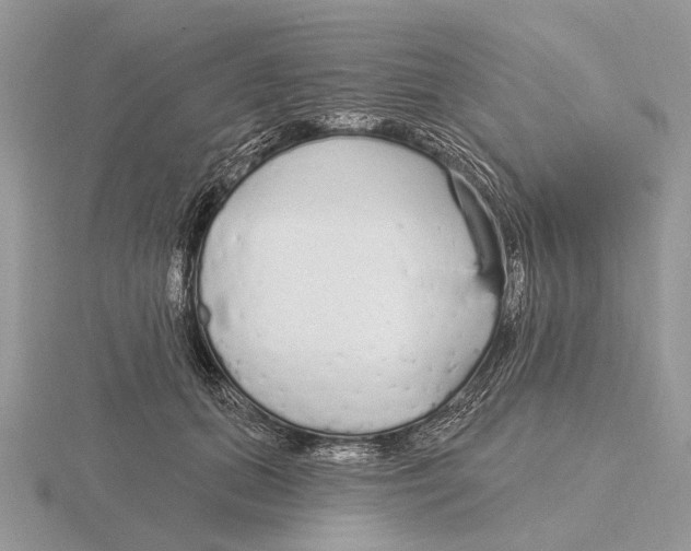 X0000115690655200912101154