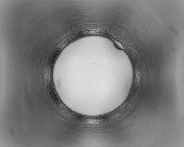 X0000115690657200912101154