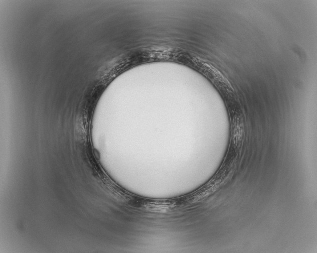 X0000115690661200912101155