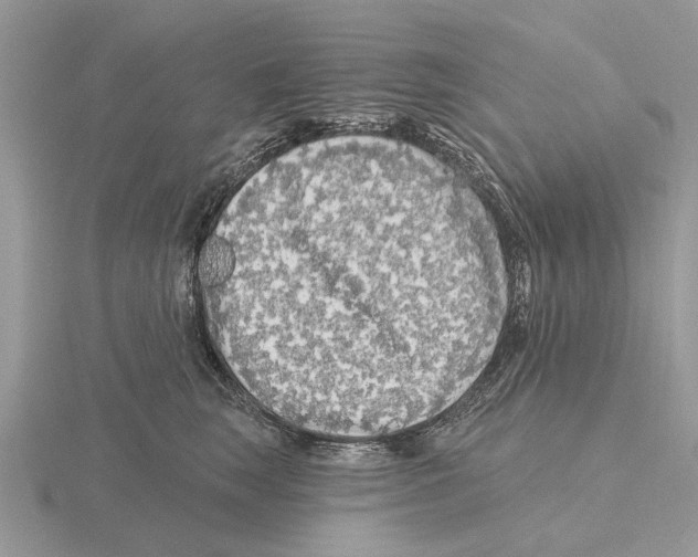 X0000115690663200912101155