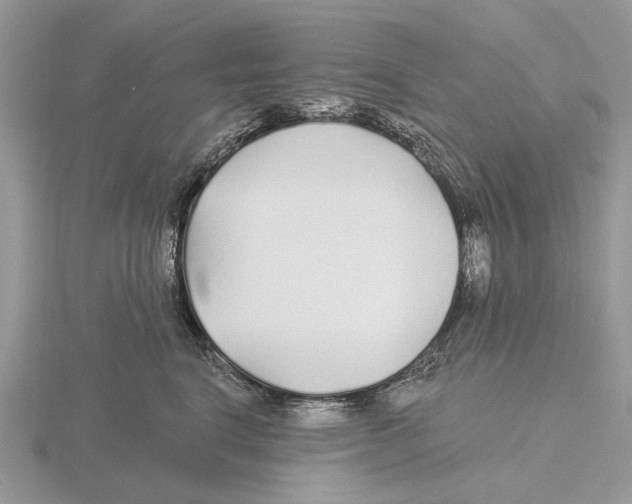 X0000115690664200912101155