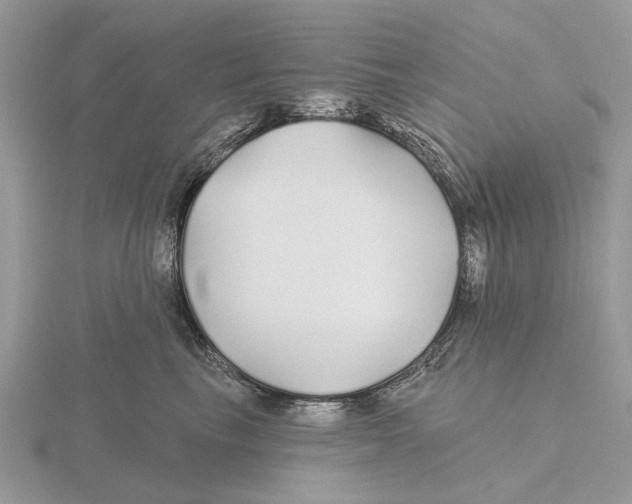 X0000115690665200912101155