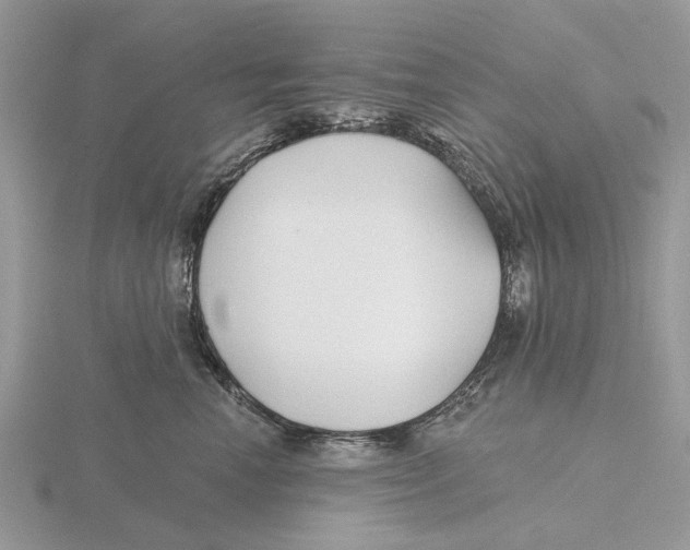 X0000115690666200912101155