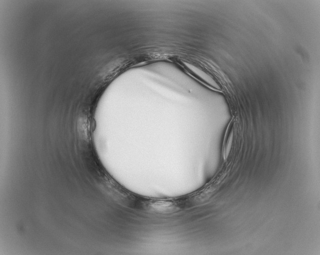 X0000115690669200912101155