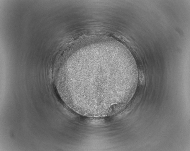 X0000115690670200912101155