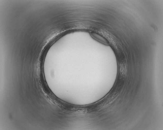 X0000115690676200912101154