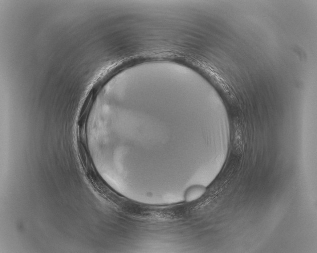 X0000115690678200912101154