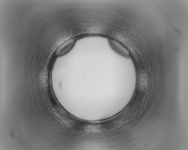 X0000115690680200912101154