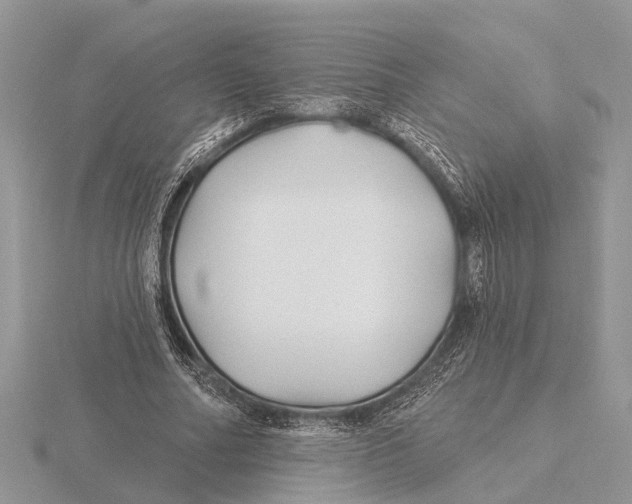 X0000115690682200912101154