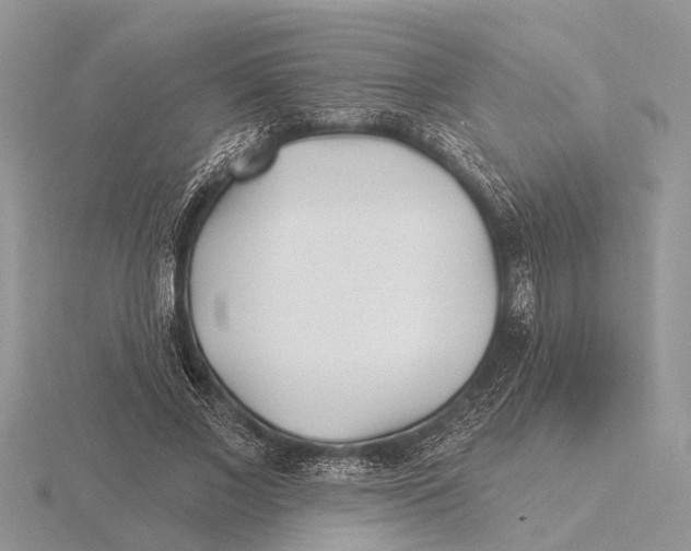 X0000115690685200912101154
