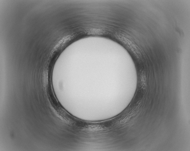 X0000115690686200912101154