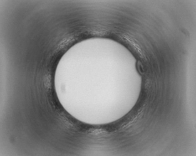 X0000115690689200912101154