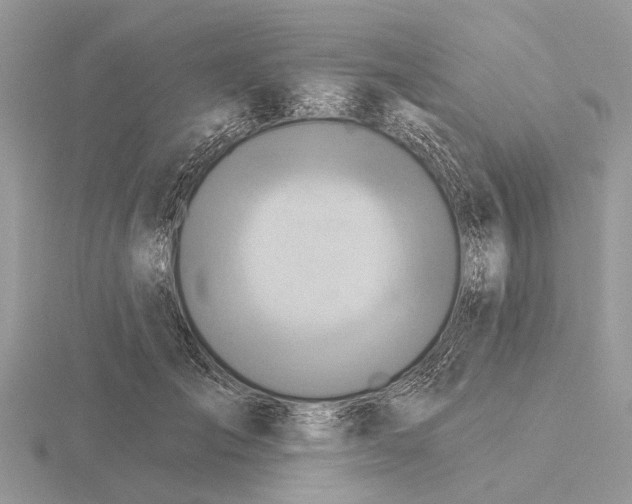 X0000115690701200912101154