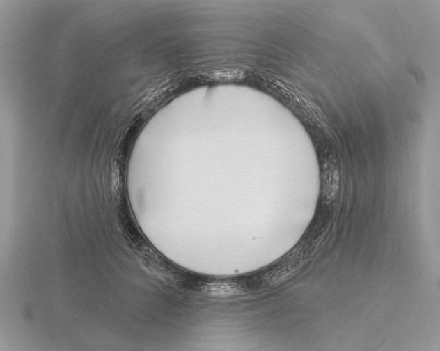 X0000115690704200912101154
