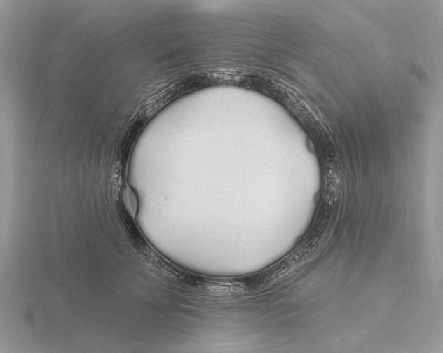 X0000115690707200912101154