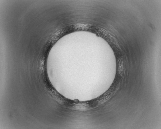 X0000115690708200912101154