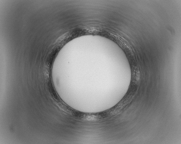 X0000115690710200912101154