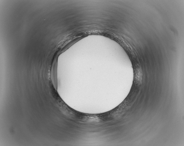 X0000115690715200912101154